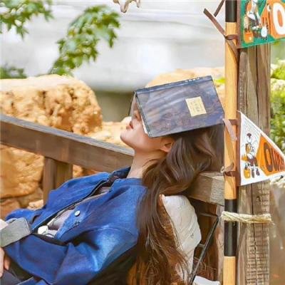 第三十九级台阶 在线观看封面