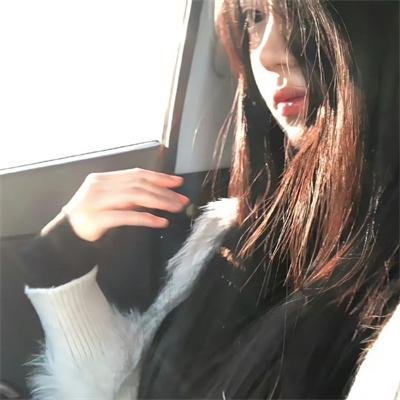 搜索者2021 在线观看封面