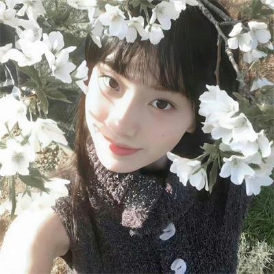 玉女倾城 在线观看封面